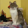 Отзыв от Нина Старостина